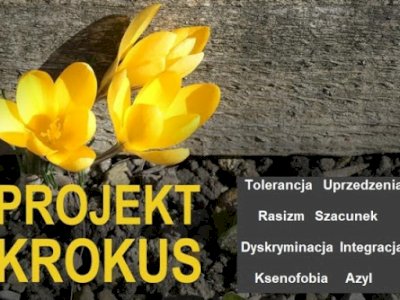 Akcja Krokus w naszej szkole